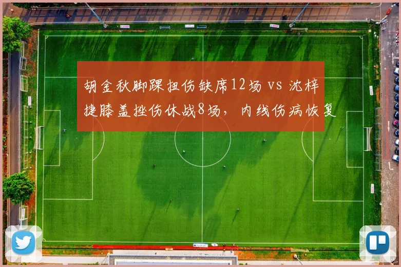 胡金秋脚踝扭伤缺席12场 vs 沈梓捷膝盖挫伤休战8场，内线伤病恢复效率分化明显