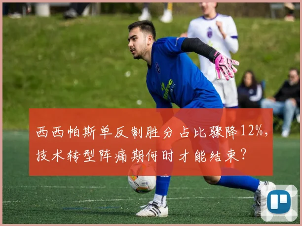 西西帕斯单反制胜分占比骤降12%，技术转型阵痛期何时才能结束？